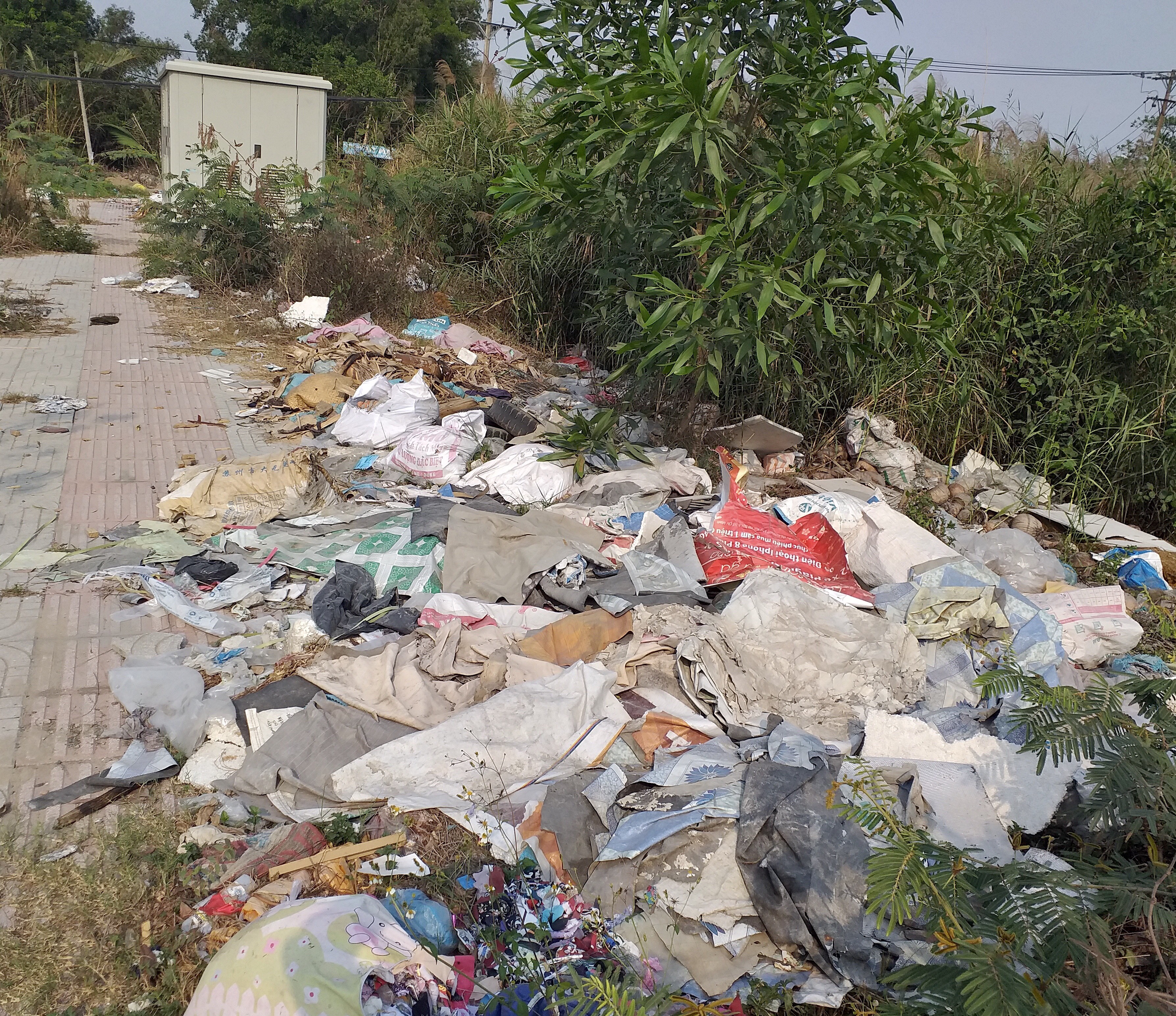 Nhếch nhác vì rác thải